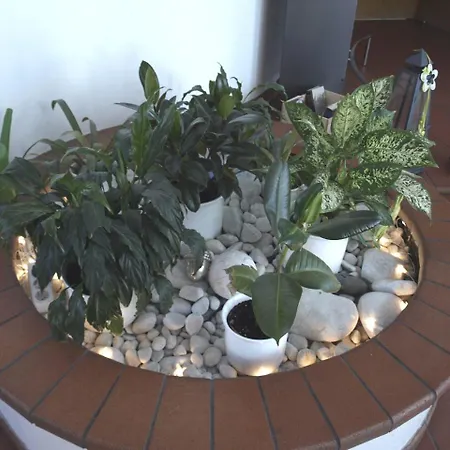 菲尔德帕斯特机场酒店 斯图加特